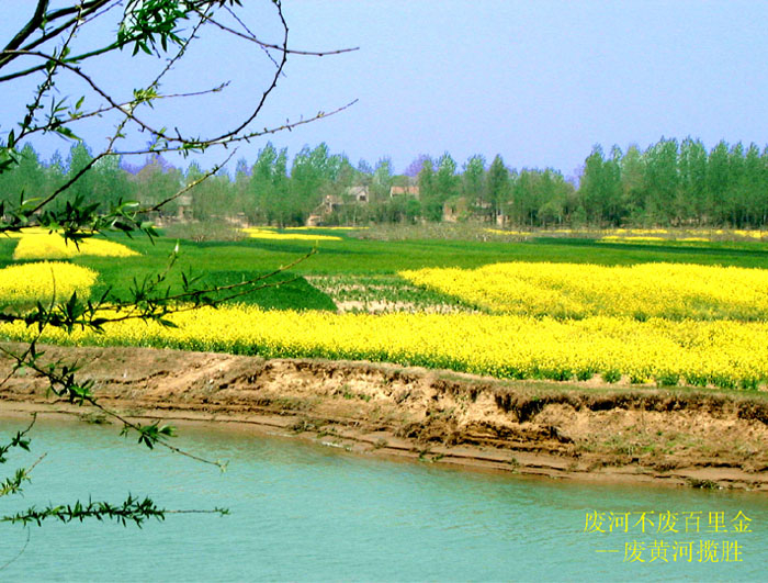 废黄河